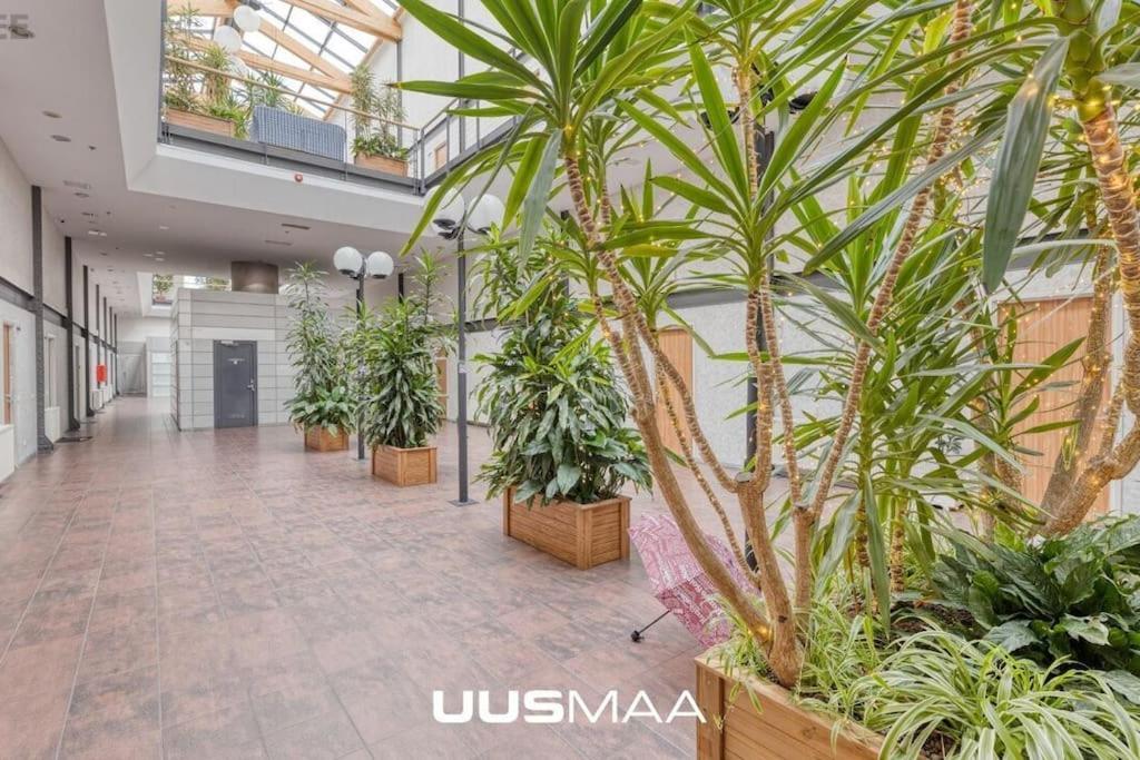 Apartament Charming Loft Near Old Town Tallin Zewnętrze zdjęcie